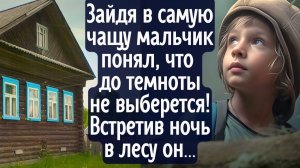 Заблудившись в лесной чаще мальчик  понял, что до темноты не выберется! Встретив ночь в лесу он ...