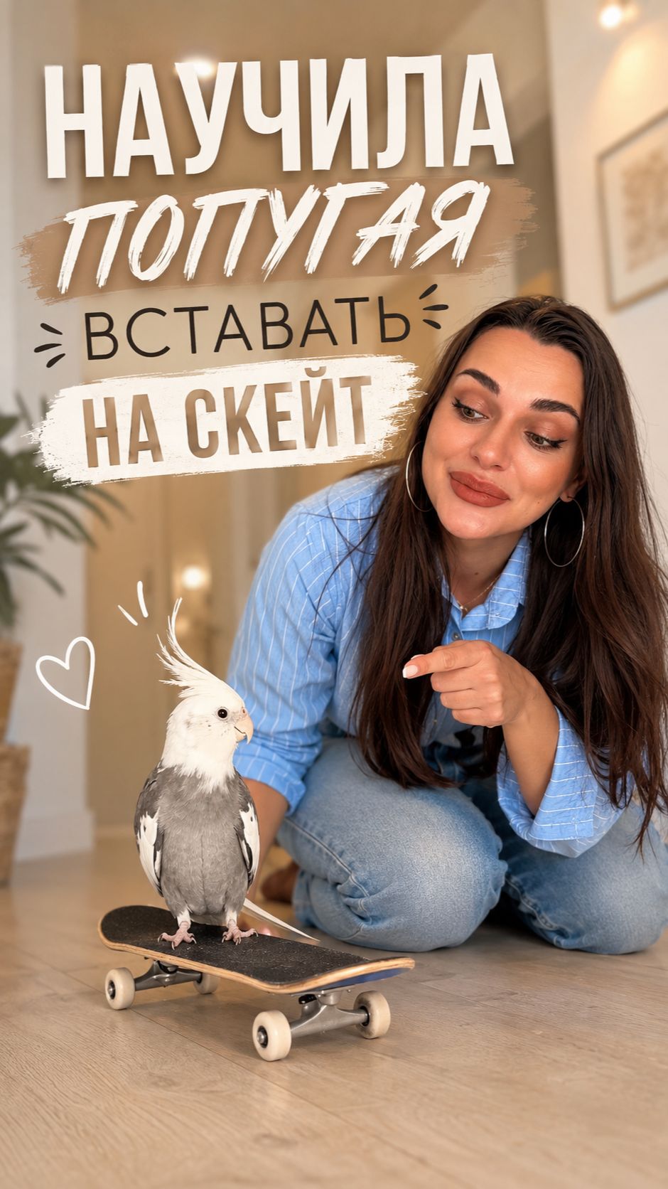 Научила попугая вставать на скейт