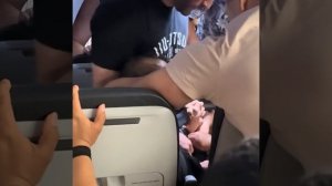 В США пассажир пытался задушить стюарда во время полета, сообщает CNN.