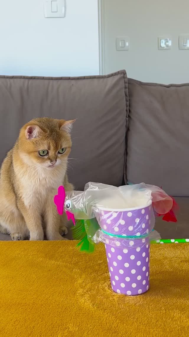 Ты не поверишь в этот лайфхак с котом 🤯🐱🧤 Это гениально!