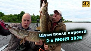 Сезон 2026 открыт! Где искать щуку сейчас?
