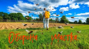 Оборона участка.