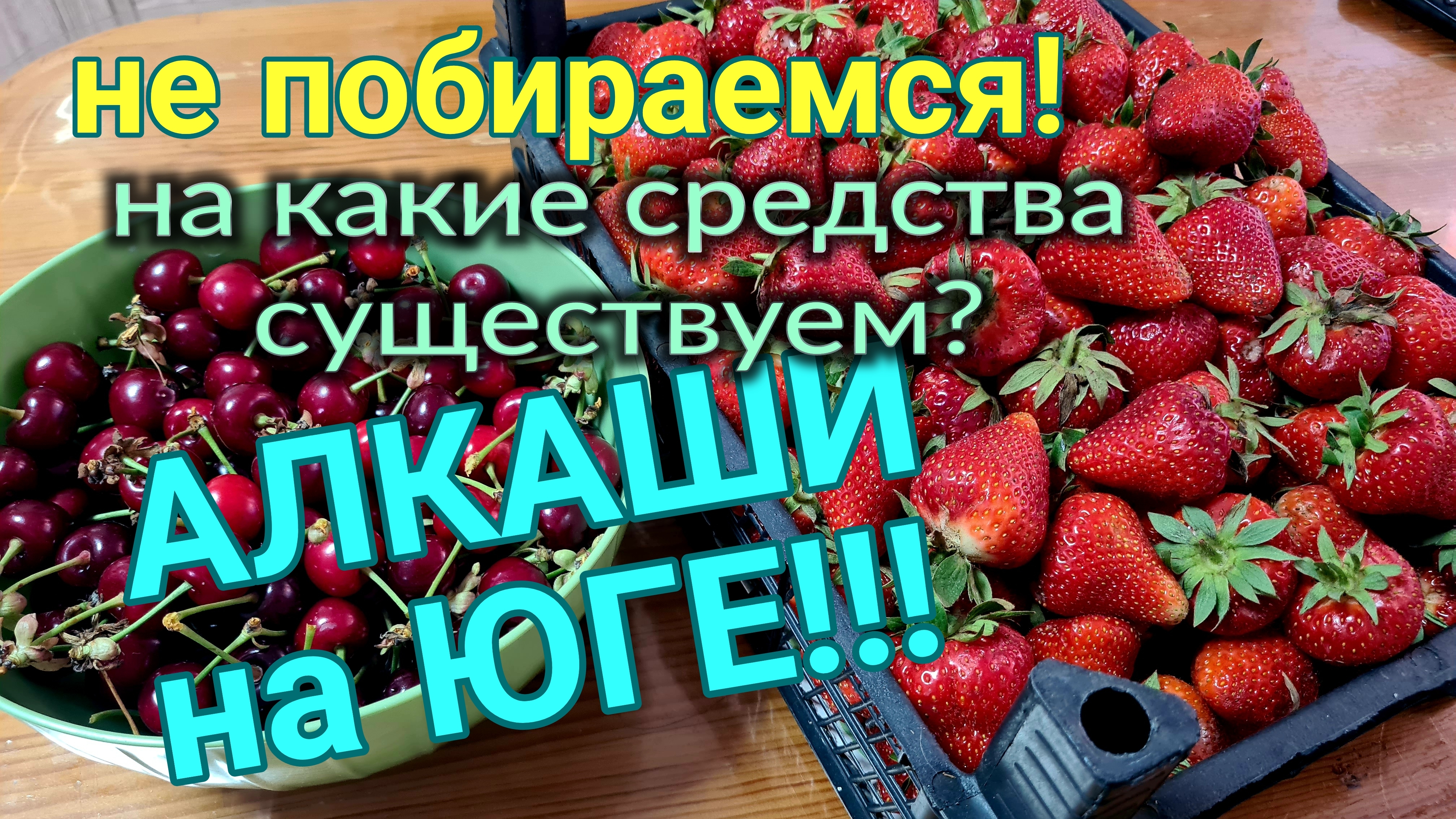 АЛКАШИ НА ЮГЕ. Без донатов. На какие средства живём? Всё без утайки. Один день нашей жизни. смотреть онлайн