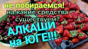 АЛКАШИ НА ЮГЕ. Без донатов. На какие средства живём? Всё без утайки. Один день нашей жизни.