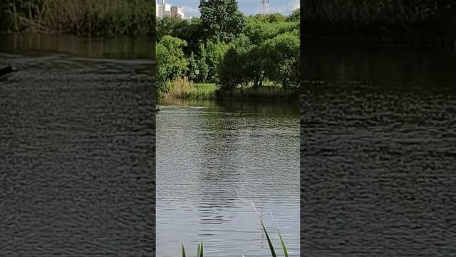В Белгороде потеплело, а у вас!? 03.06.26. смотреть онлайн