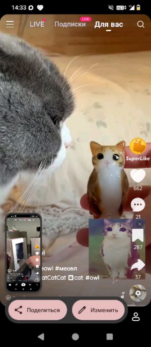 качель 😹