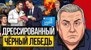 🥩 Рютте приехал к мяснику в Киев за мясом! Замена Зеленскому готова, у Кремля выпрашивают ответку