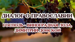 «Диалог о православии» от 03.06.2026 (Господь - виноградная Лоза, Димитрий Донской)