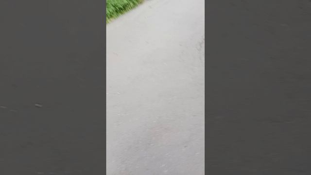 1 серия парк смотреть онлайн