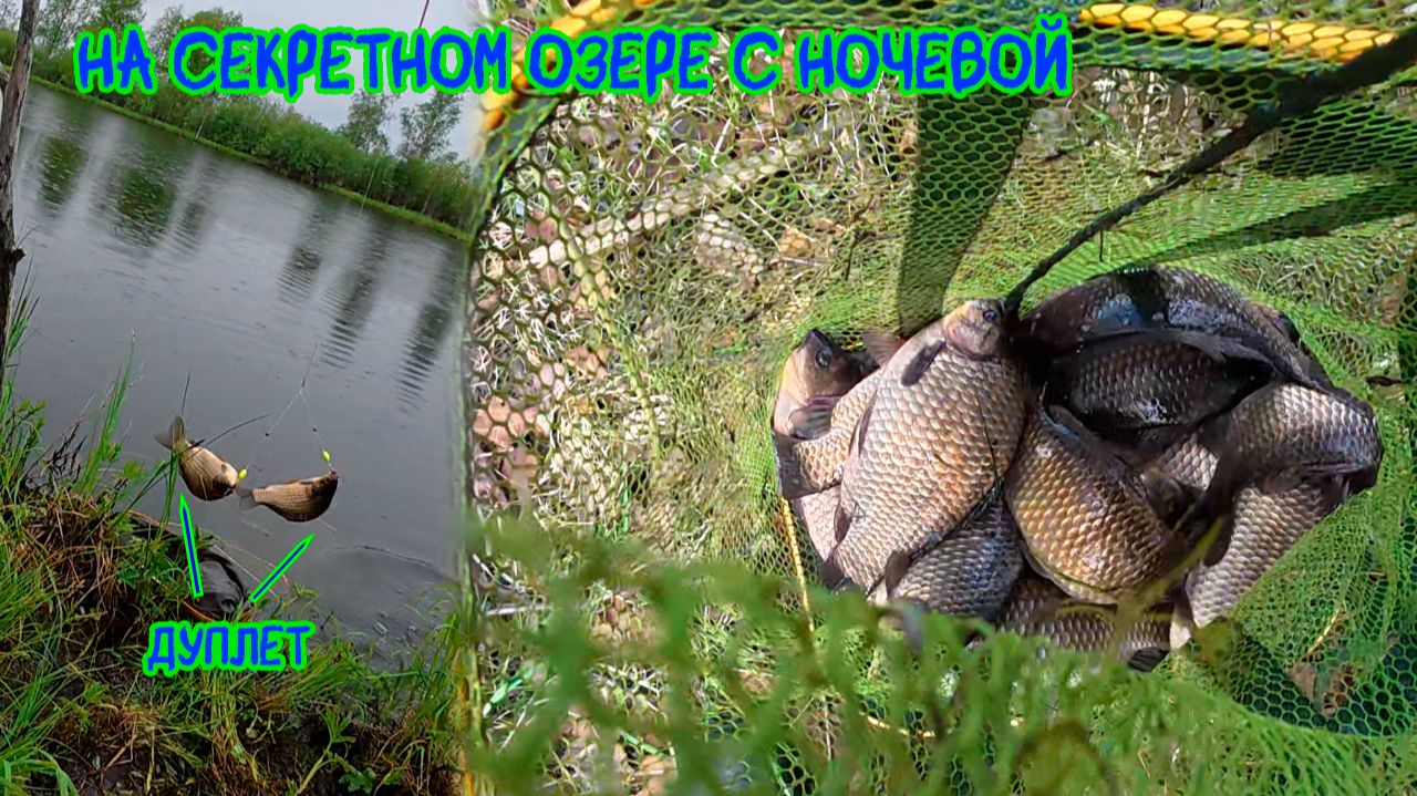 На секретном озере с ночевкой #рыбалка #карась #хмао #fishing смотреть онлайн