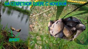 На секретном озере с ночевкой #рыбалка #карась #хмао #fishing