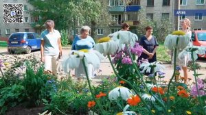 Летние новости 02.06