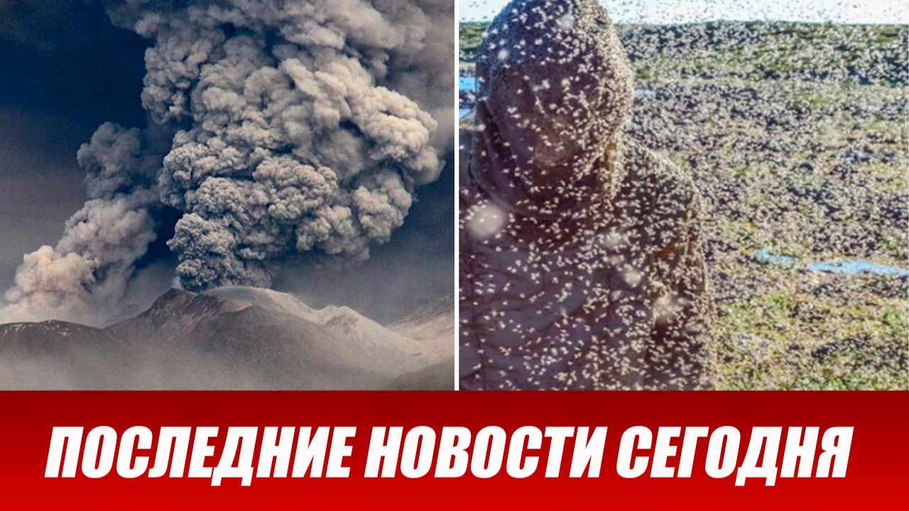 Новости Сегодня 03.06.2026 - ЧП новый выпуск 3 июня 2026 года смотреть онлайн