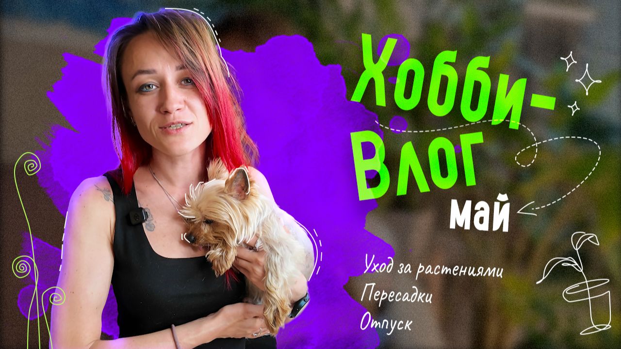 Майский ХОББИ-ВЛОГ☘️: Уход за комнатными растениями, пересадки, отпуск 💃 смотреть онлайн
