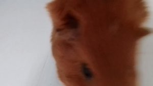1000002747.mp4