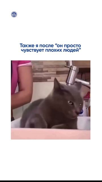 Он чувствует