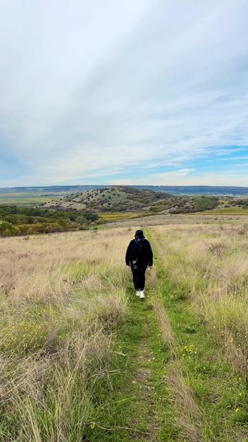 Виноградники в Крыму.