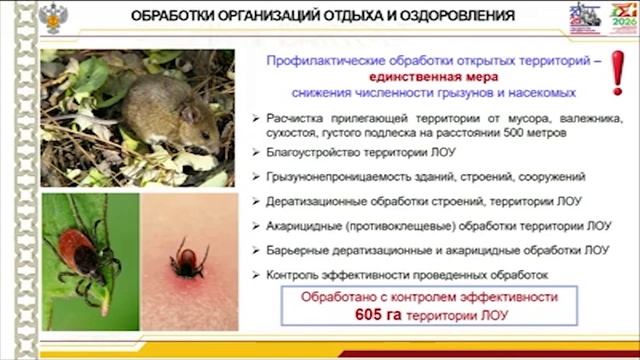 Новости "Волга 24" 04.06.2026. Утренний выпуск