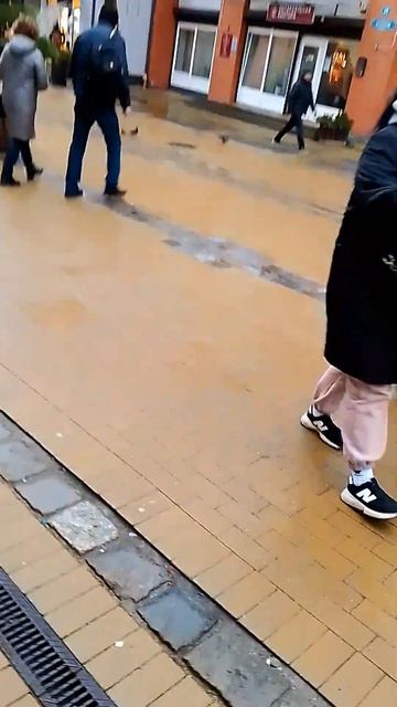 Достопримечательности Зеленоградска в Калининградской области, Курортный проспект. #travel