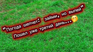 Погода шепчет...