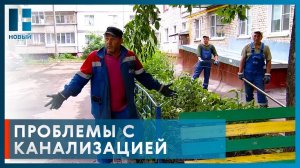 Подвал многоэтажки в Тамбове заливает фекалиями из-за частых засоров канализации