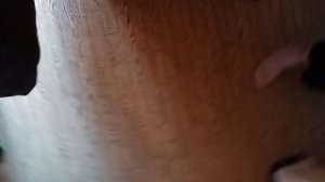 VID_20260603_111033(0)(0).mp4