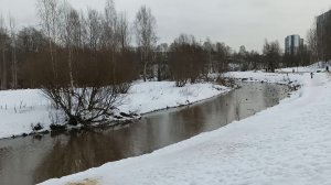 Утиная ферма 14