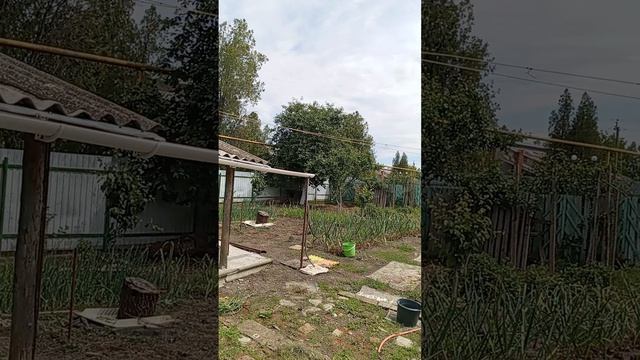 1000105233.mp4встала пораньше, сделала побольше