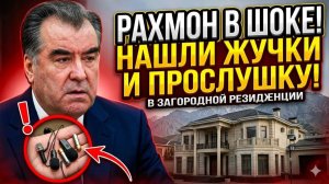 Скандал в Душанбе Рахмон обнаружил ЖУЧКИ И ПРОСЛУШКУ в загородной резиденции семьи