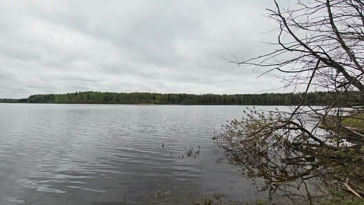 Уводьское вдхр. ч.7. Май 2026 смотреть онлайн