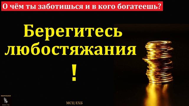 Любостяжание 🙏♥️ Проповедь МСЦ ЕХБ смотреть онлайн