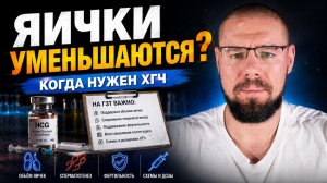 Яички на ГЗТ уменьшаются? Когда нужен ХГЧ