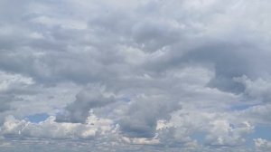 Муж был не рад, когда узнал, какое наследство досталось его супруге. Он вступил в сговор, чтобы  ...