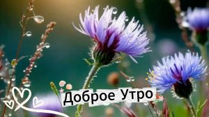 Открытки с пожеланиями доброго утра и дня – музыкальный сборник