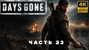 DAYS GONE — Мир после конца | Прохождение без комментариев часть 23 (4К 60 FPS)