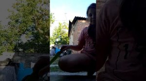 котики