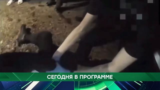 АНОНС 03.06.2026 смотреть онлайн