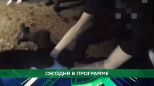 АНОНС 03.06.2026