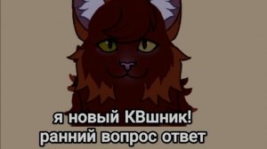 Я новый КВшник! Вопрос-ответ(я не знаю почему 😋 потому чт скучно)