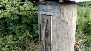 3 июня РОЙ в КОЛОДЕ