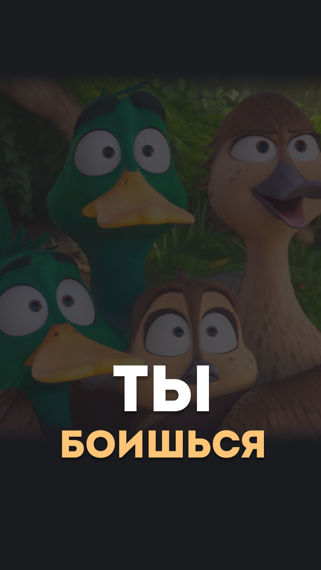 Ты боишься