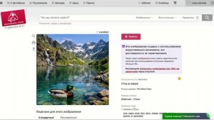 первые продажи на российский фотобанк лори