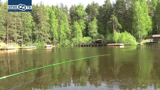 "Клуб охотников и рыболовов"  выпуск 251 "Рыбалка в городе"