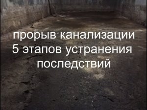 Прорвало канализацию в подвале. 5 этапов устранения последствий