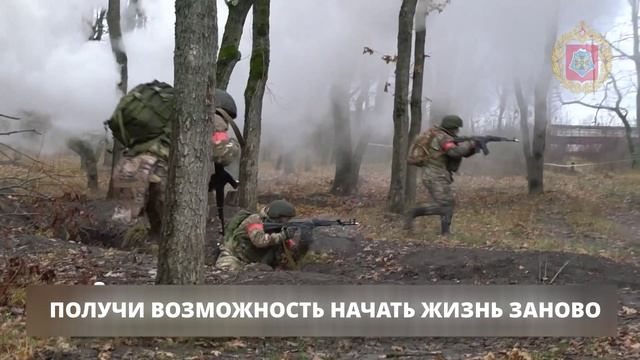 Присоединяйся к храбрым смотреть онлайн