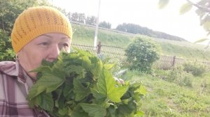 Жизнь в деревне 🏡// «Так работать хочется пойду полежу может пройдёт» 😄//
