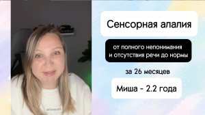 Выход из сенсорной алалии. Полная норма через 26 месяцев. Запуск понимания и речи у ребенка в 2,2 г.