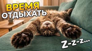 Мейн-кун спит как котенок