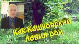 «Сам ловил рои?» Кашковский рассказывает, как это было. Истории из жизни легендарного пчеловода 🐝📖