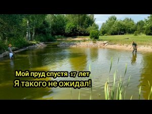 МОЙ Пруд на участке. Рыбалка сетями. Рыбалка.
